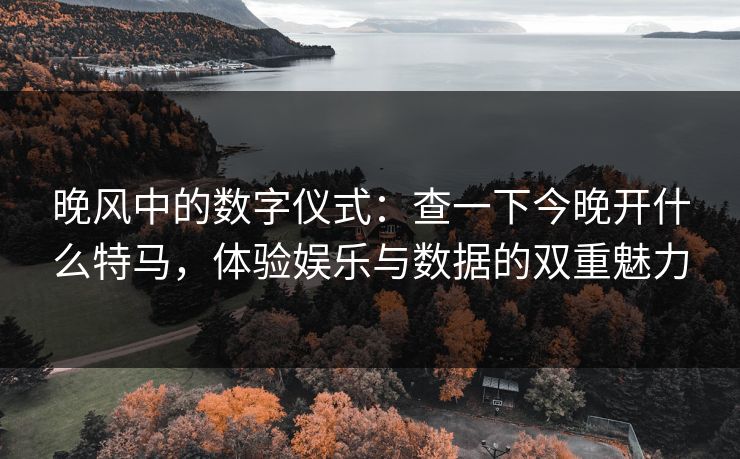 晚风中的数字仪式：查一下今晚开什么特马，体验娱乐与数据的双重魅力
