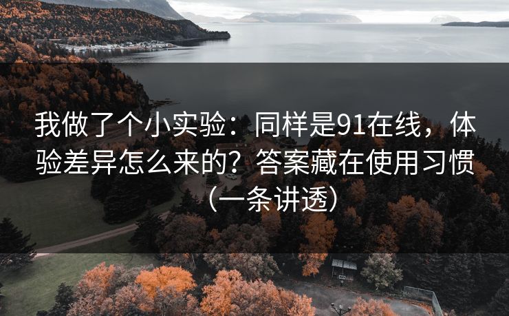 我做了个小实验:同样是91在线,体验差异怎么来的?答案藏在使用习惯(一条讲透) 我做了个小实验:同样是91在线,体验差异怎么来的?答案藏在使用习惯(一条讲透)